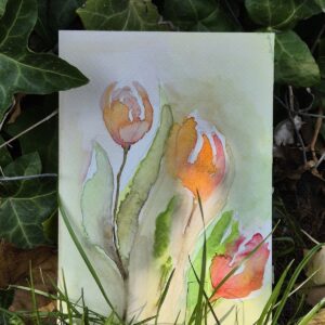 Vrijdag  13 feb- Aquarel ansichtkaarten